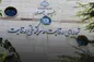ساترا صلاحیت تنظیم‌گری در بازار را ندارد