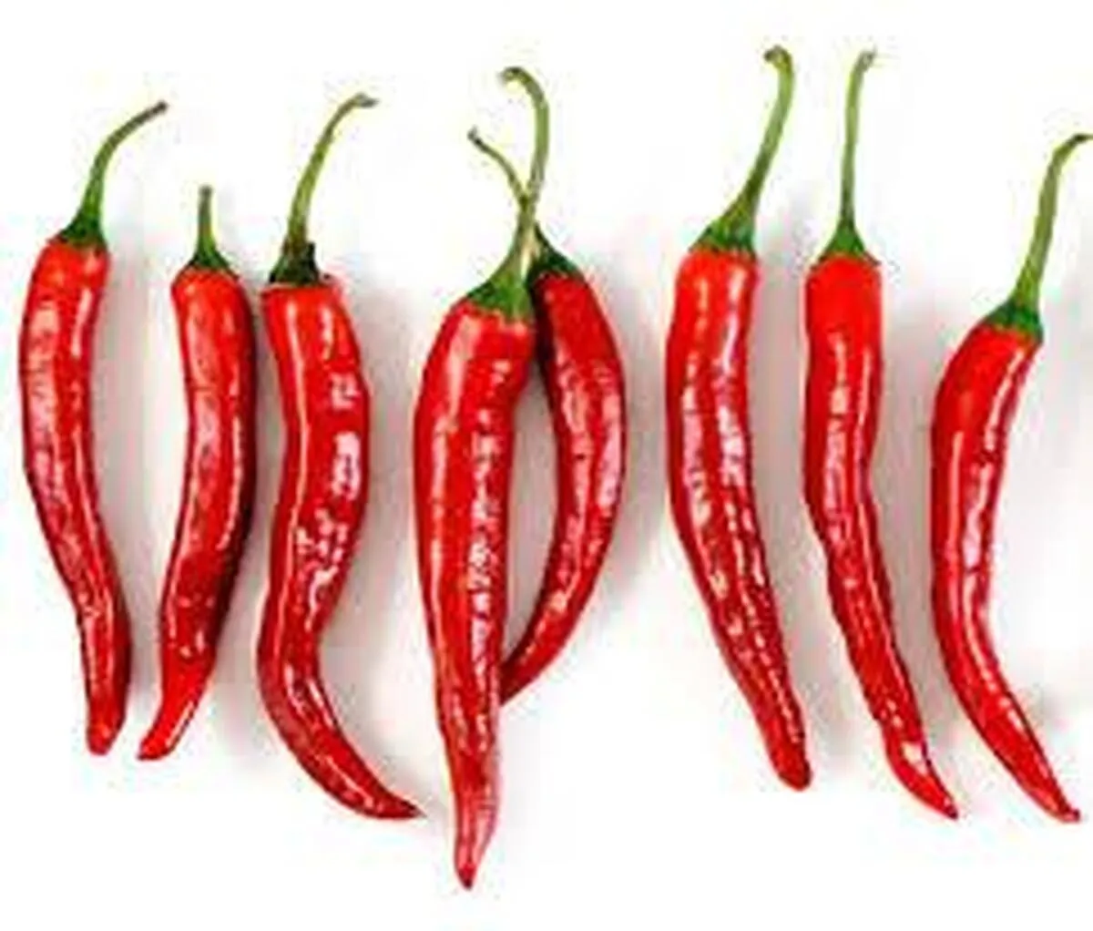 خوردن فلفل چیلی خطر چاقی را افزایش می‌دهد؟