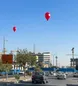 پرواز بالن‌های قرمز بر فراز تهران + عکس