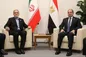 دیدار پزشکیان و رئیس جمهور مصر