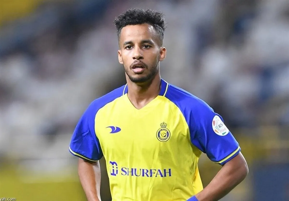 ما از دیدن این صحنه‌ها لذت بردیم!