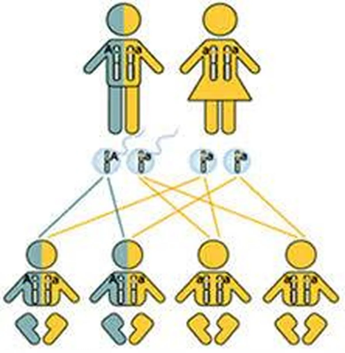 آیا واقعاً شخصیت از والدین به ارث رسیده است؟