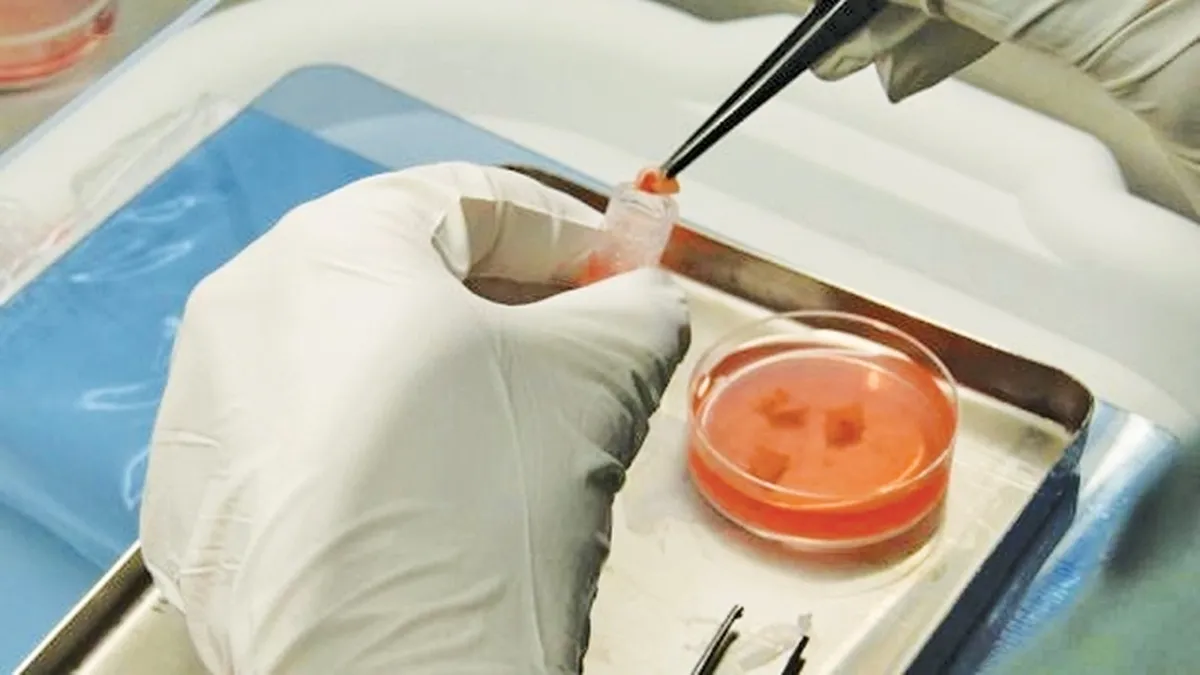 دخترانی که فرزندان یخی بدنیا می آورند!