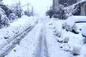هواشناسی ایران| برف سنگین در تهران