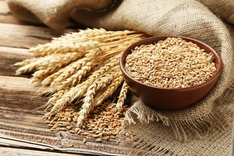 قیمت جهانی گندم اعلام شد