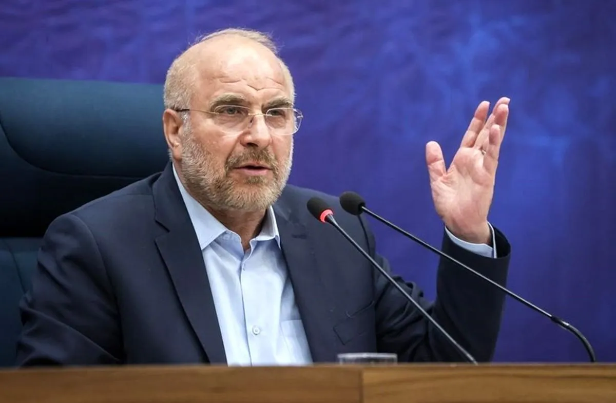 مجلس تصویب قانون برای مقابله با سوءرفتار علیه بانوان را وظیفه خود می‌داند