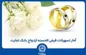 اعطای بیش از ۱۲۰ هزار فقره وام ازدواج توسط بانک تجارت