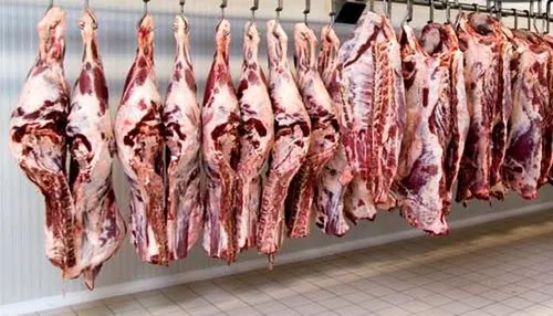 نیازی به واردات گوشت قرمز نداریم