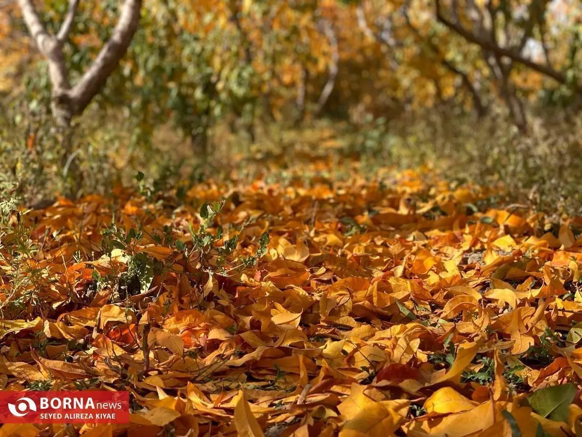 پاییز در شهریار