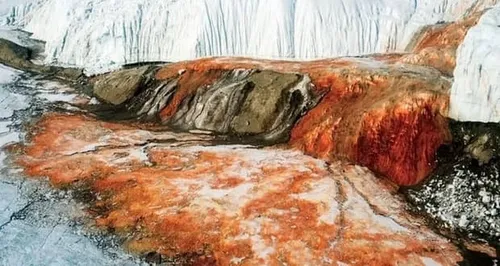 معمای یخچال خونین قطب جنوب، پدیده مرموز ریزش خون از یخ&zwnj;های قطبی حل شد