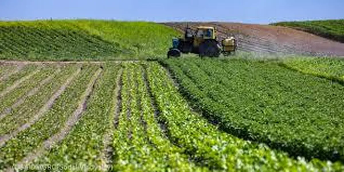 کشاورزی آمریکا در آستانه بحرانی بی‌سابقه و ویرانگر