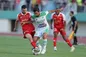 شوک دوباره گربه‌سیاه به پرسپولیس!