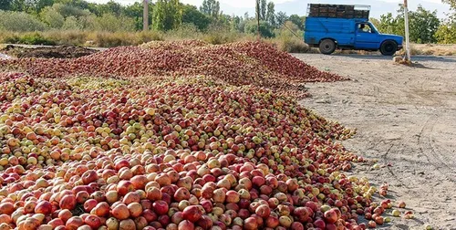 دریاچه ارومیه؛ مالچ‌پاشی و محو دریاچه از نقشه!
