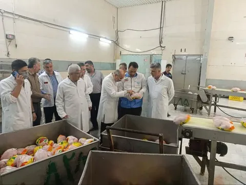 بازدید شبانه معاون اقتصادی استاندار گلستان از کشتارگاه‌های طیور استان