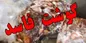 ۶ تن گوشت و مرغ غیر بهداشتی کشف و ضبط شد