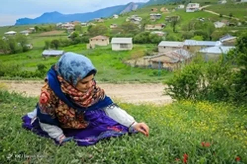 گزارش تصویری دیدار فعالان سیاسی با دکتر مسعود پزشکیان
