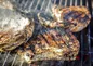 هشدار: با عوارض خوردن غذا‌های دودی آشنا شوید!