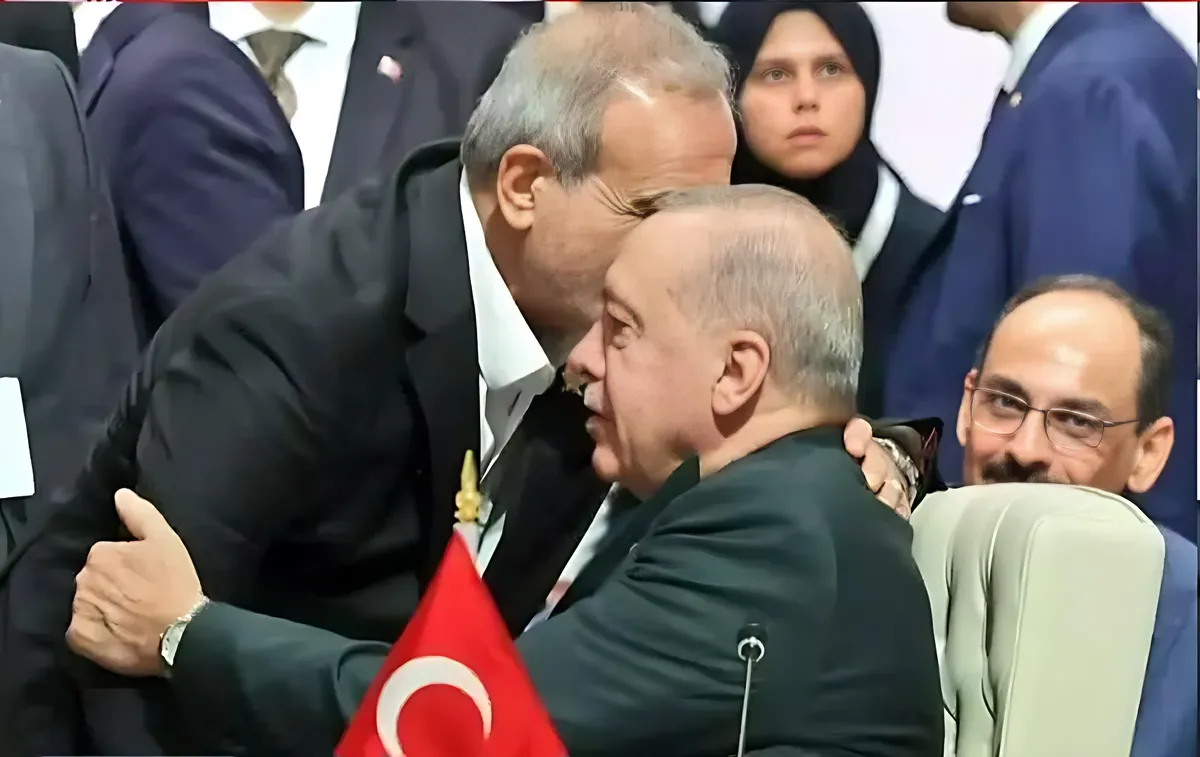 توضیحات معاون تشریفات رئیس جمهور پیرامون عکس پزشکیان و اردوغان