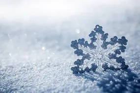 لحظه بارش شدید برف در عربستان + فیلم