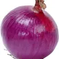 قویترین ضد سرطان چیست