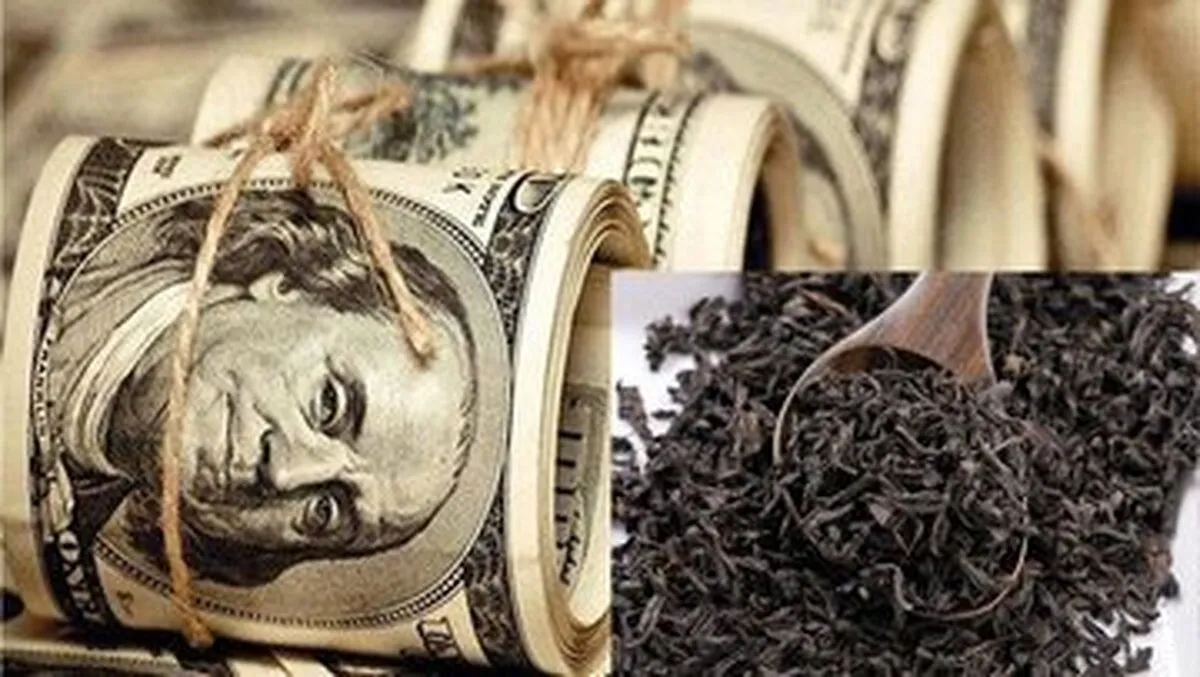 ۲ رویکرد دولتی‌ها برای «فرار از مسئولیت» فساد چای دبش؛ اول فرافکنی، دوم قهرمان‌سازی از رئیسی!