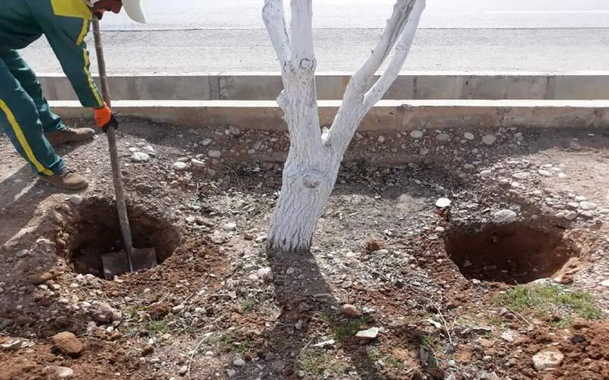 آشنایی با چالکود و انواع آن